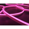 Néon LED Rose GEN1