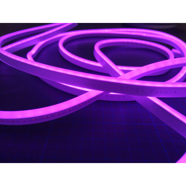 Néon LED Violet GEN1