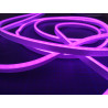 Néon LED Violet GEN1