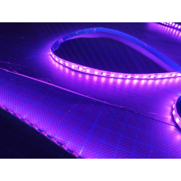 Led GEN2 Violet