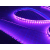 Led GEN2 Violet