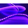 Led GEN2 Violet