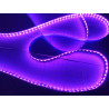 Led GEN2 Violet