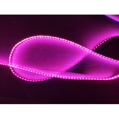 Led GEN2 Rose vif