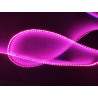 Led GEN2 Rose vif