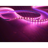 Led GEN2 Rose vif